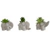 plantes-decoratives-ciment-elephant