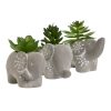 plantes-decoratives-ciment-elephant