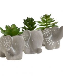 plantes-decoratives-ciment-elephant
