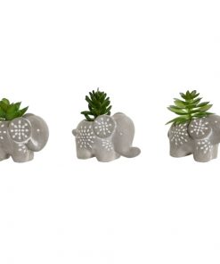 plantes-decoratives-ciment-elephant