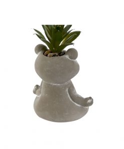 plantes-decoratives-grenouille