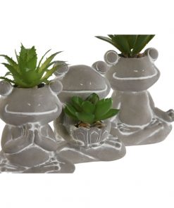 plantes-decoratives-grenouille