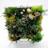 tableau-vegetal-stabilise-carre-20-x-20-cm