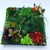 tableau-vegetal-stabilise-carre-30-x-30-cm-nature-sans-entretien