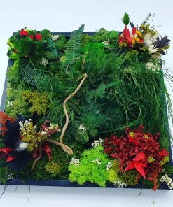 tableau-vegetal-stabilise-carre-30-x-30-cm-nature-sans-entretien