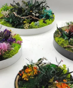 tableau-vegetal-stabilise-rond-40-cm-elegance-et-nature-durable